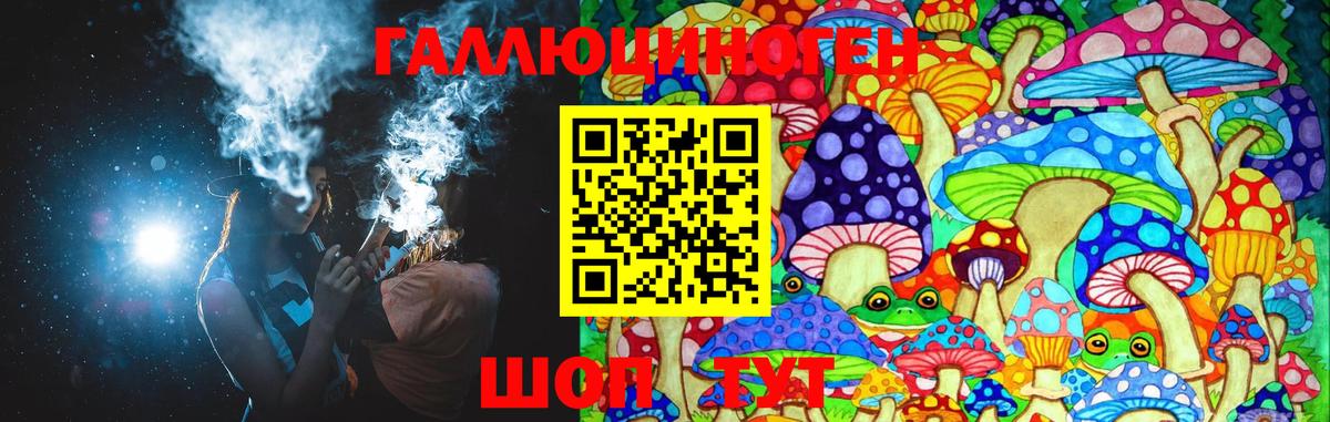 Галлюциногенные грибы MAGIC MUSHROOMS  Псилоцибиновые грибы Cubensis  продажа наркотиков  Прохладный  Вход с VPN 