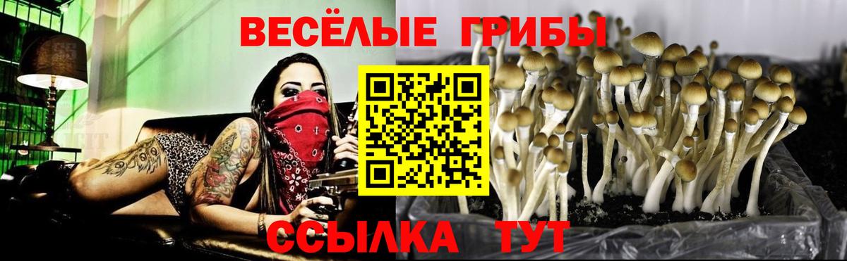 Галлюциногенные грибы мухоморы Прохладный